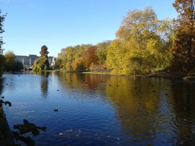 a body of water surrounded by trees