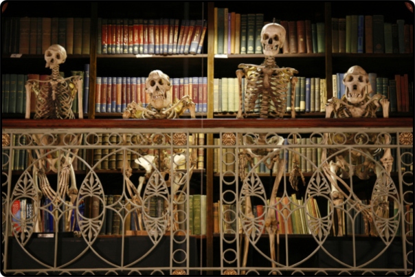 a close up of a book shelf