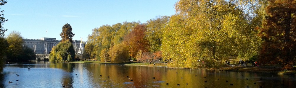 a body of water surrounded by trees
